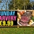 Carvery Banners