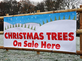 Christmas Tree Sales Banners