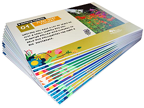 Full colour printed 5mm Foamex signs Full colour printed 5mm Foamex signs